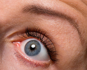 Image showing Face woman with eyes and eyelashes