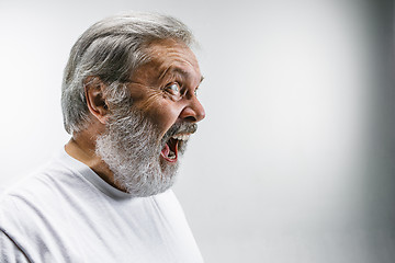 Image showing The senior emotional angry man screaming on white studio background