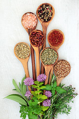 Image showing Fresh and Dried Herbs and Spices