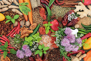 Image showing Spice and Herb Seasoning