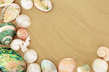 Image showing Beautiful Seashells on the Beach 