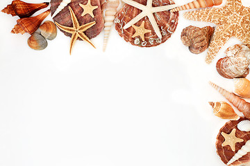 Image showing Seashell Background Border