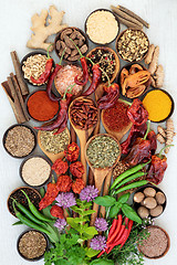 Image showing Herb and Spice Seasoning  