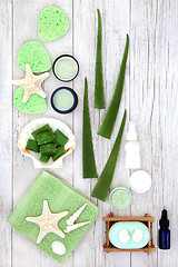 Image showing Skincare with Aloe Vera Products