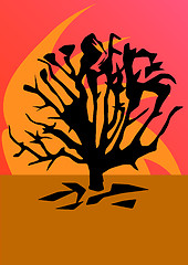 Image showing Tree Sunset