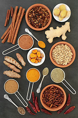 Image showing Spices for Losing Weight