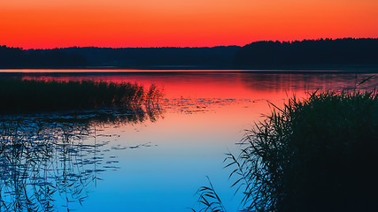 Image showing Night Lake With Reeds After Red Sunset