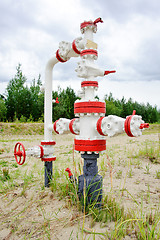 Image showing Wellhead.