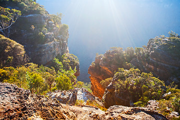 Image showing Sunlight in the sandstone cliff walls, Blue Mountains