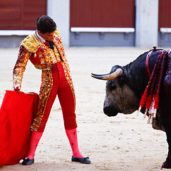 Image showing Traditional corrida - bullfighting in spain