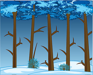 Image showing Thick winter wood and snow snowdrifts.Vector illustration