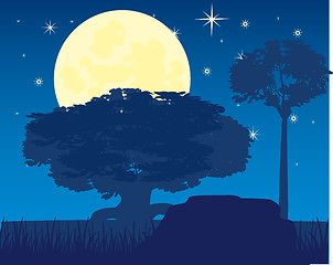 Image showing Vector illustration of the night landscape on nature