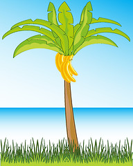 Image showing Beautiful landscape seeshore and palms with banana