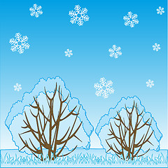 Image showing Winter landscape of the nature and falling snowflake