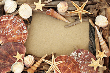 Image showing Seashell and Driftwood Abstract Background 