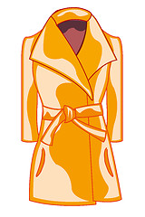 Image showing Fashionable feminine coat on white background is insulated