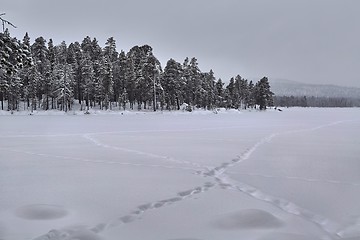 Image showing Winter Snowy Landscape