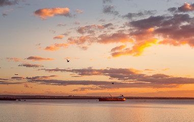 Image showing Cargo ships in Botany Bay at sunset