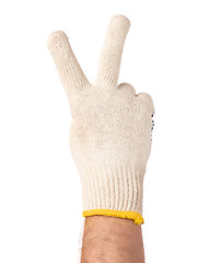 Image showing Male hand wearing working glove