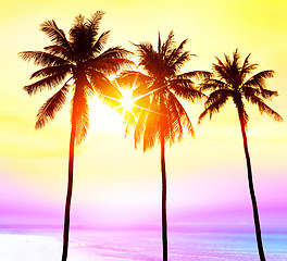 Image showing paradise with palms at sunset 