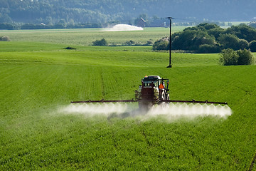 Image showing Crop Dusting