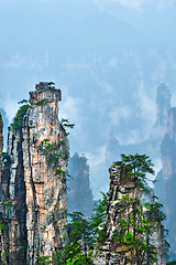 Image showing Zhangjiajie mountains, China