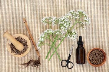 Image showing Valerian Herbal Medicine