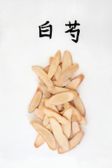 Image showing White Peony Root Herb