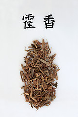 Image showing Korean Mint Herb