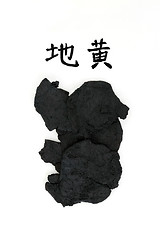 Image showing Chinese Rehmannia Root Herb