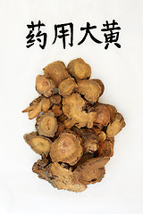 Image showing Chinese Rhubarb Root Herb