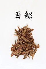 Image showing Chinese Stemona Tuber Herb