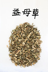 Image showing Chinese Motherwort Herb
