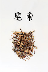 Image showing Chinese Honeylocust Herb