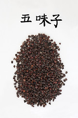 Image showing Chinese Schisandra Berries