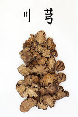 Image showing Szechwan Lovage Root Herb