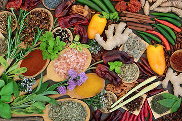 Image showing Herb and Spice Seasoning Selection