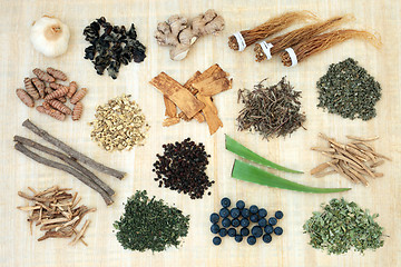 Image showing Adaptogen Herb Spice and Berry Fruit