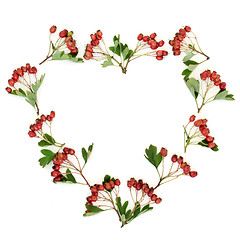 Image showing Heart Shaped Hawthorn Berry Wreath