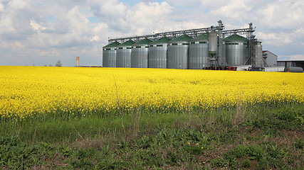 Image showing Silo Agriculture