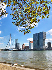 Image showing panoramic view of Rotterdam