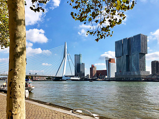 Image showing panoramic view of Rotterdam