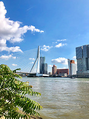 Image showing panoramic view of Rotterdam