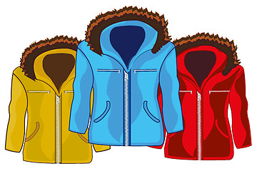 Image showing Three winter male jackets of the varied colour