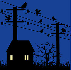 Image showing Night landscape with house and electric pole with bird