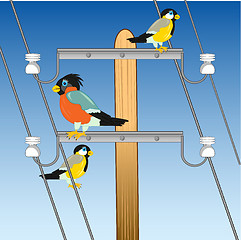 Image showing Pole with wire and bird sitting on him