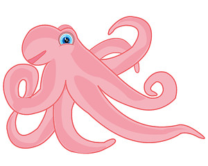 Image showing Vector illustration of the rose octopus on white background