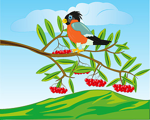 Image showing Bird on branch of rowanberry and mountains on back plan