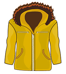 Image showing Jacket male on white background is insulated