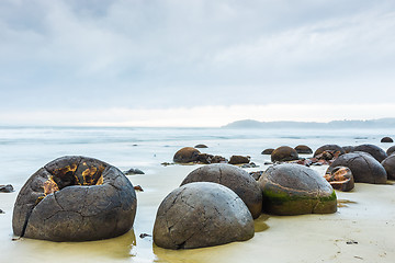 Image showing Moeraki Boulders. Oamaru New Zealand